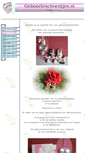 Mobile Screenshot of geboorteschoentjes.nl